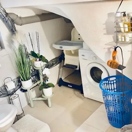 Boutique 2 דירה *